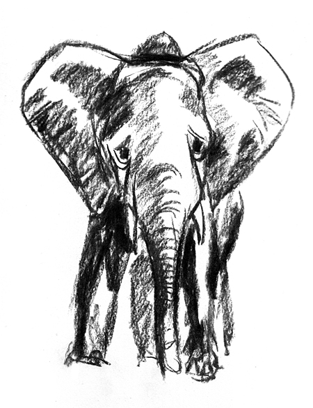 elephant 2 s